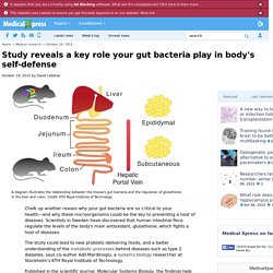 Study reveals a key role your gut bacteria play in body's self-defense