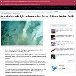 New study sheds light on how earliest forms of life evolved on Earth