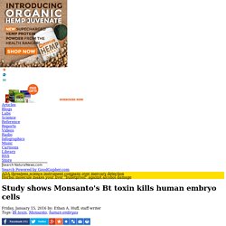Study shows Monsanto's Bt toxin kills human embryo cells