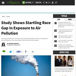 Study Shows Startling Race Gap in Air Pollution