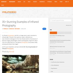 35+ Stunning Examples of Infrared Photography