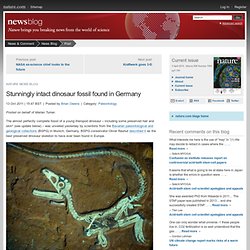 Stunningly intact dinosaur fossil found in Germany
