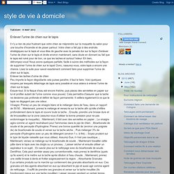 comment nettoyer urine de chien sur moquette