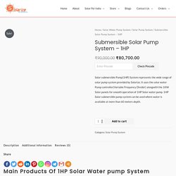 Submersible Solar Pump System - 1HP - Solarize India