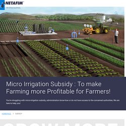 Drip irrigation subsidy gets in its own way - Netafim India