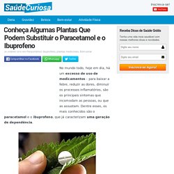 Conheça Algumas Plantas Que Podem Substituir o Paracetamol e o Ibuprofeno