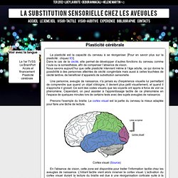 La substitution sensorielle chez les aveugles _ Plasticité cérébrale