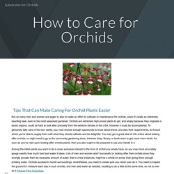 Substrates for Orchids