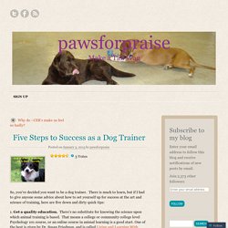 Five Steps to Success as a Dog Trainer