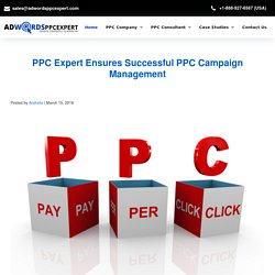 PPC Expert Ensures Successful PPC Campaign Management