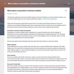 What makes a successful e-commerce website