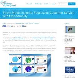 Successful Customer Service with OpenAmplify