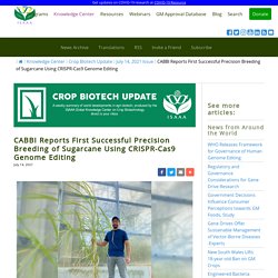 ISAAA 14/07/21 CABBI Reports First Successful Precision Breeding of Sugarcane Using CRISPR-Cas9 Genome Editing
