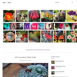 DIY Succulent Pallet Table – Far Out Flora