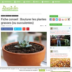 Fiche conseil : Bouturer les plantes grasses (ou succulentes)