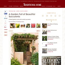 A Garden Full of Beautiful Succulents - Traditional Home®