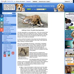 Suffering in Slums: The global stray dog problem - Michigan Humane Society