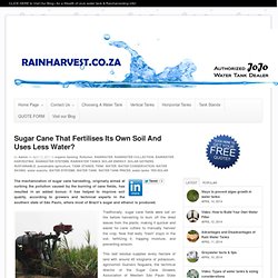 Sugar Cane That Fertilises Its Own Soil And Uses Less Water?