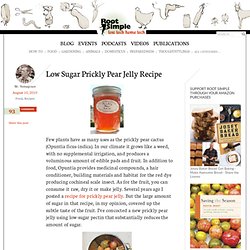 Low Sugar Prickly Pear Jelly Recipe