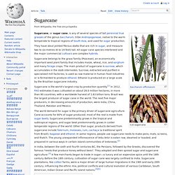WIKIPEDIA - page sugarcane