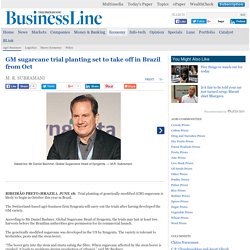 THE HINDU BUSINESS LINE 18/06/12 GM sugarcane trial planting set to take off in Brazil from Oct