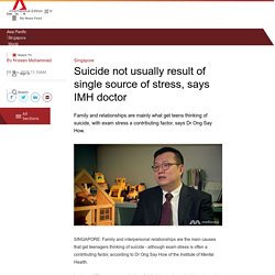 Suicide not usually result of single source of stress, says IMH doctor