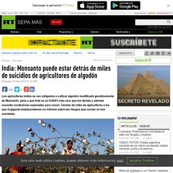 India: Monsanto puede estar detrás de miles de suicidios de agricultores de algodón