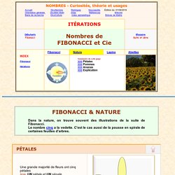 suite de Fibonacci dans la nature