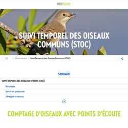 Suivi Temporel des Oiseaux Communs (STOC)