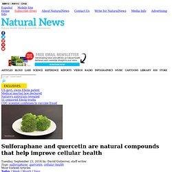 Sulforaphane and quercetin are natural compounds that help improve cellular health