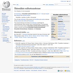 Thiosulfate sulfurtransferase