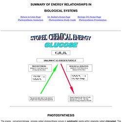 SUMMARY OF ENERGY RELATIONSHIPS IN