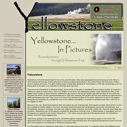 Summer in Yellowstone National Park
