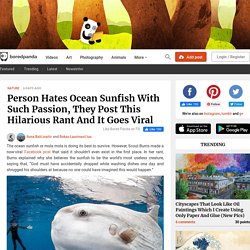 Person Hates Ocean Sunfish With Such Passion, They Post This Hilarious Rant And It Goes Viral