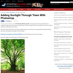 Photoshop Tutorials - Adding Sunlight Through The Trees