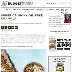 Super Crunchy Oil Free Granola - Vegan