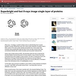 Superbright and fast X-rays image single layer of proteins