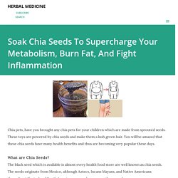 Soak Chia Seeds To Supercharge Your Metabolism, Burn Fat, And Fight Inflammation