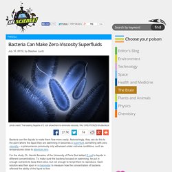 Bacteria Can Make Zero-Viscosity Superfluids