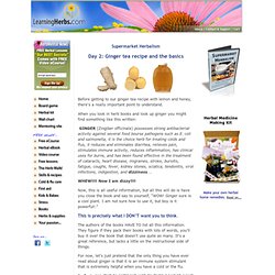 Supermarket Herbalism: Day 2, Ginger Tea Recipe