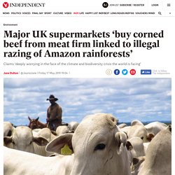 Major UK supermarkets ‘buy corned beef from meat firm linked to illegal razing of Amazon rainforests’