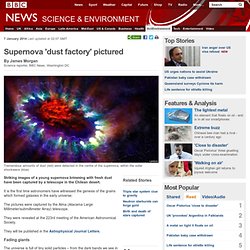 Supernova 'dust factory' pictured