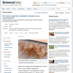 Ant colony responds to predation simulation as a 'superorganism': Ants retreat when scout removed from colony edge, flee when worker removed from nest center