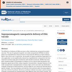 Superparamagnetic nanoparticle delivery of DNA vaccine