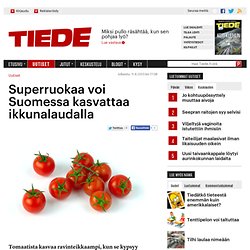 Superruokaa voi Suomessa kasvattaa ikkunalaudalla