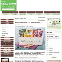 Редкие семена: где и как купить? на Supersadovnik.ru