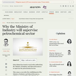 Why the Ministry of Industry will supervise petrochemical sector