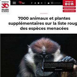 7000 animaux et plantes supplémentaires sur la liste rouge des espèces menacées