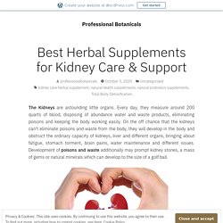 Best Herbal Supplements for Kidney Care & Support – Professional Botanicals