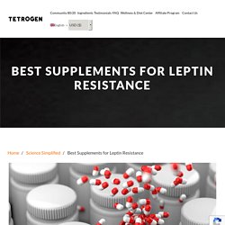 Best Supplements for Leptin Resistance - Tetrogen USA